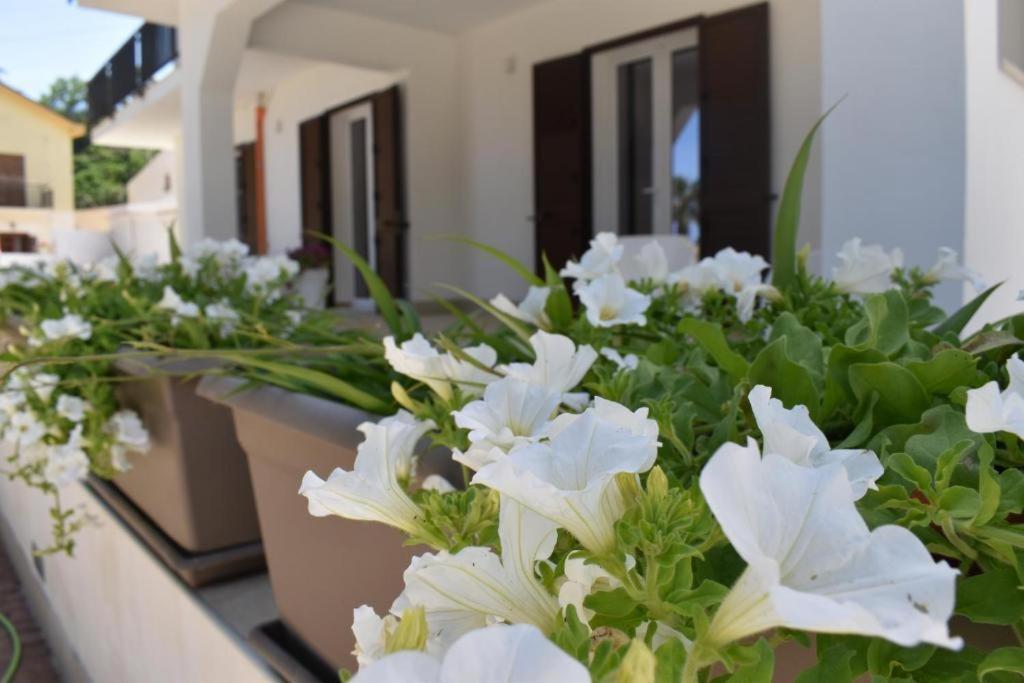 B&B Lastracu Castellammare del Golfo Exteriér fotografie