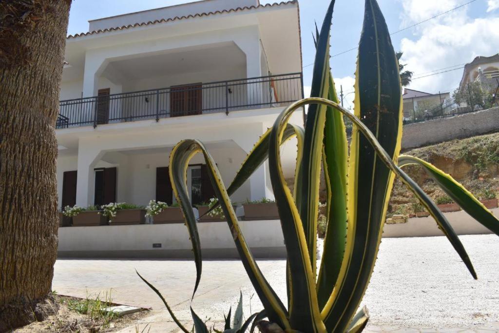 B&B Lastracu Castellammare del Golfo Exteriér fotografie